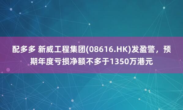 配多多 新威工程集团(08616.HK)发盈警，预期年度亏损净额不多于1350万港元