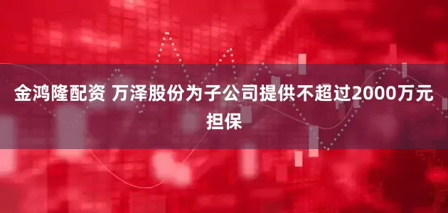 金鸿隆配资 万泽股份为子公司提供不超过2000万元担保