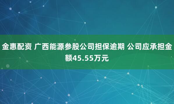 金惠配资 广西能源参股公司担保逾期 公司应承担金额45.55万元